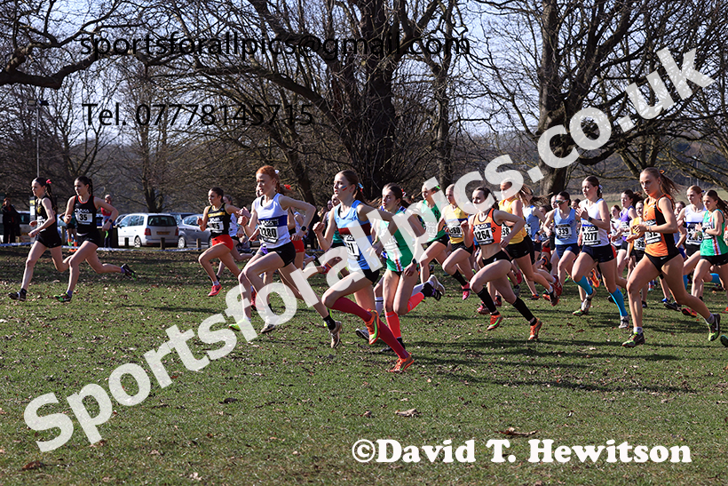 Womens under-17s 2025 UK CAU Inter Counties Cross Country Champs., Wollaton Park, Nottingham. Photo: David T. Hewitson/Sports for All Pics